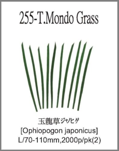 255-T.Mondo Grass 
