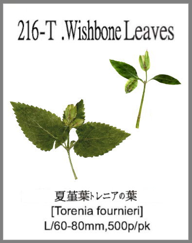 216-T.Wishbone Leaves 