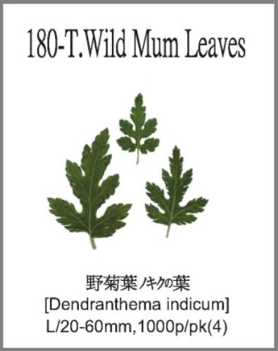 180-T.Wild Mum Leaves 