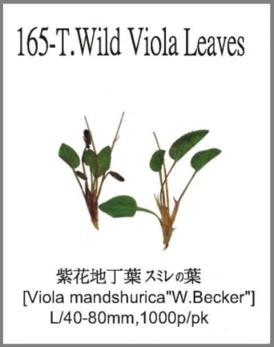 165-T.Wild Viola Leaves 