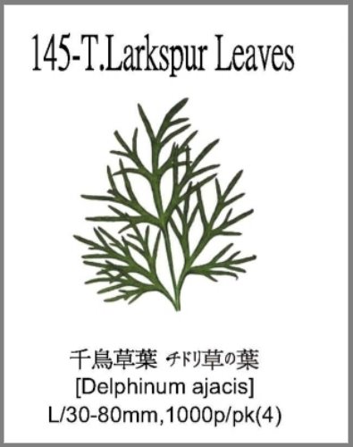 145-T.Larkspur Leaves 
