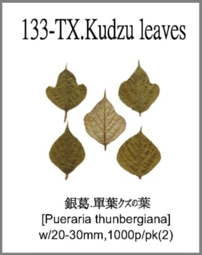 133-TX.Kudzu leaves 
