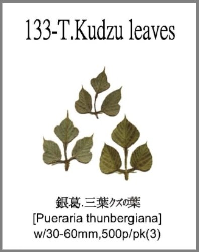 133-T.Kudzu leaves 