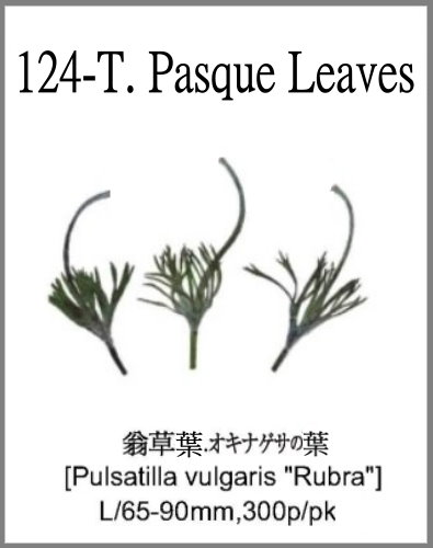 124-T. Pasque Leaves 