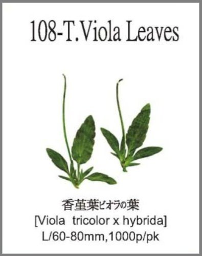 108-T.Viola Leaves 