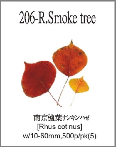 206-R.Smok
