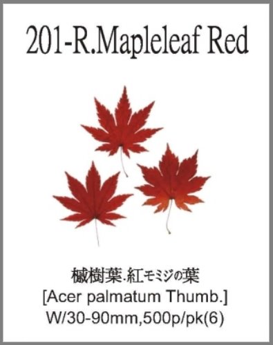 201-R.Mapleleaf Red 