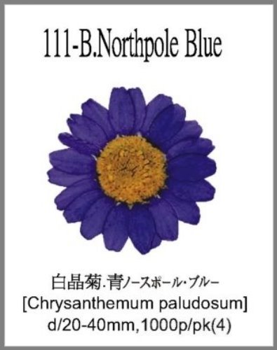 111-B.Northpole Blue 