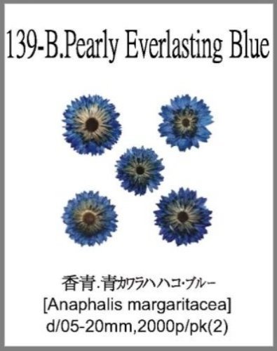 139-B.Pearly Everlasting Blue 