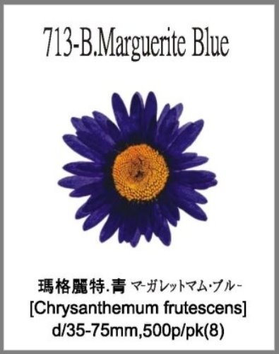 713-B.Marguerite Blue