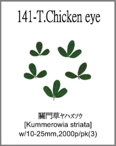 141-T.Chicken eye 