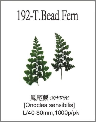 192-T.Bead Fern 