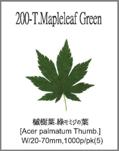 200-T.Mapleleaf Green 