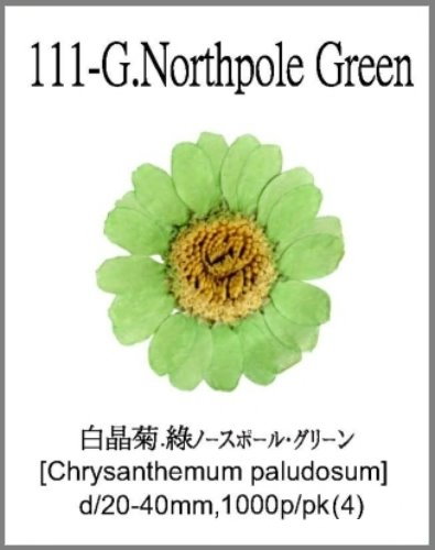 111-G.Northpole Green 