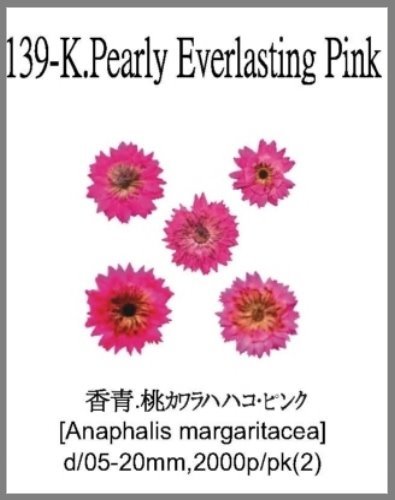 139-K.Pearly Everlasting Pink 