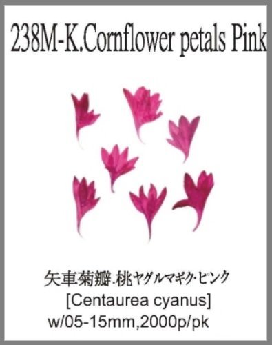 238M-K.Cornflower petals Pink 