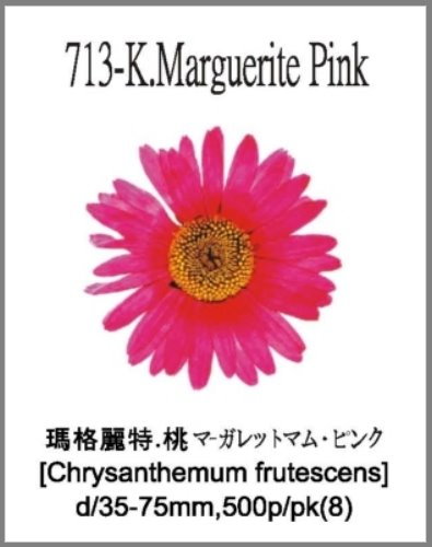713-K.Marguerite Pink 