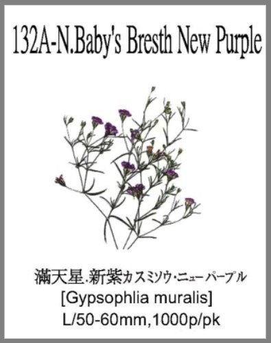 132A-N.Baby's Breath New Purple 