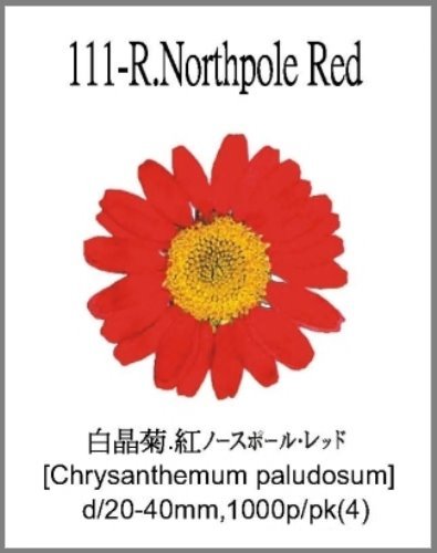 111-R.Northpole Red 