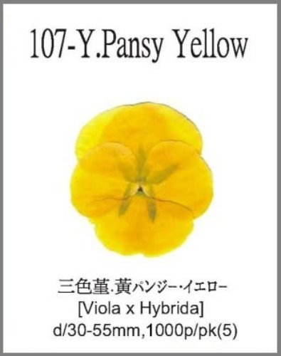 107-Y.Pansy Yellow 