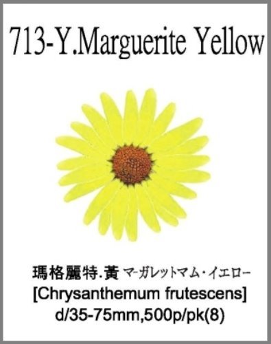 713-Y.Marguerite Yellow 