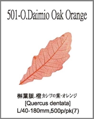 501-O.Daimio Oak Orange 