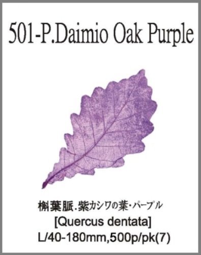 501-P.Daimio Oak Purple 