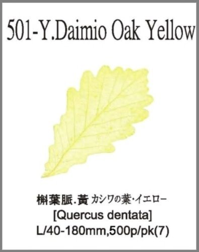 501-Y.Daimio Oak Yellow 
