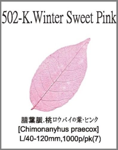 502-K.Winter Sweet Pink 