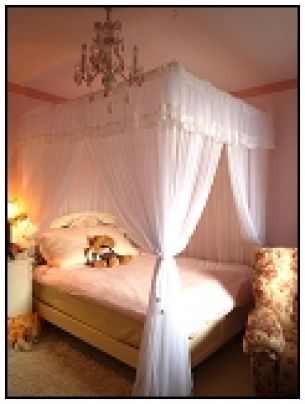 特價椅子(測試)